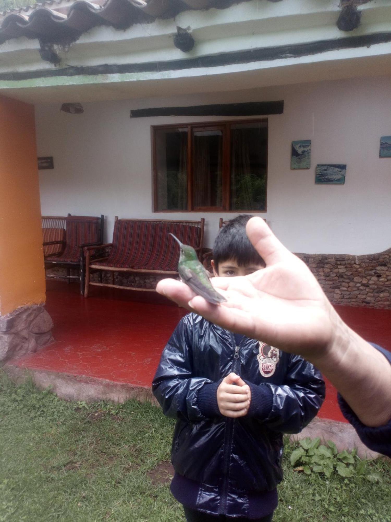 Ecolodge Ccatan 우루밤바 외부 사진